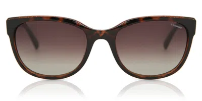 Polaroid Pld 4030/s Polarized Q3v/la Women's Sunglasses Tortoiseshell Size 55 In Brown