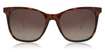 Polaroid Pld 4059/s Polarized 086/la Women's Sunglasses Tortoiseshell Size 53 In Multi