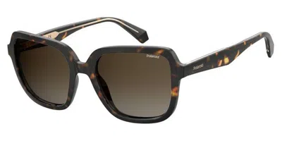 Polaroid Pld 4095/s/x Polarized 086/la Occhiali Da Sole Tartarugatishell Per Donna In Brown