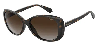 Polaroid Pld 4097/s 086/la Occhiali Da Sole Tartarugatishell Per Donna In Multi