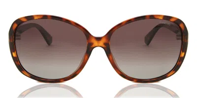 Polaroid Pld 4098/s 086/la Occhiali Da Sole Tartarugatishell Per Donna In Brown