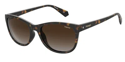 Polaroid Pld 4099/s 086/la Occhiali Da Sole Tartarugatishell Per Donna In Gold
