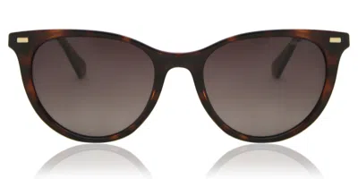 Polaroid Pld 4107/s Polarized 086/la Occhiali Da Sole Tartarugatishell Per Donna In Brown