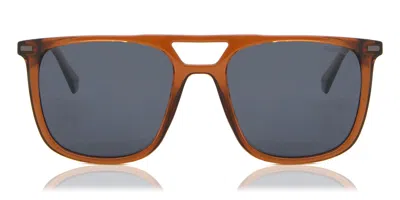 Polaroid Pld 4123/s 09q/c3 Men's Sunglasses Brown Size 53 In Transparent Brown