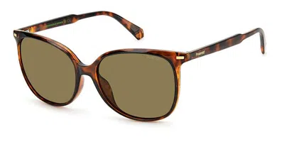 Polaroid Pld 4125/g/s Asian Fit 086/sp Women's Sunglasses Tortoiseshell Size 57 In Brown