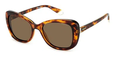 Polaroid Pld 4132/s/x 086/sp Women's Sunglasses Tortoiseshell Size 53 In Brown