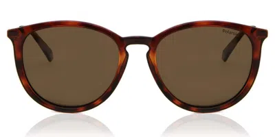 Polaroid Pld 4143/s/x Polarized 086/sp Men's Sunglasses Tortoiseshell Size 53 In Green