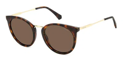 Polaroid Pld 4146/s/x 086/sp Women's Sunglasses Tortoiseshell Size 53 In Brown
