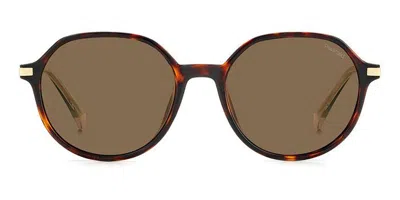 Polaroid Pld 4149/g/s/x Asian Fit Polarized 086/sp Women's Sunglasses Tortoiseshell Size 55 In Brown