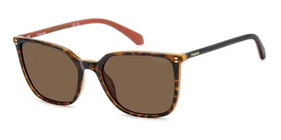 Polaroid Pld 4209/s/x 086/sp Women's Sunglasses Tortoiseshell Size 56 In White