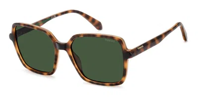 Polaroid Pld 4217/s Polarized 086/uc Women's Sunglasses Tortoiseshell Size 56 In White