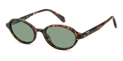 Polaroid Pld 4220/s Polarized Wr9/uc Men's Sunglasses Tortoiseshell Size 51 In Brown