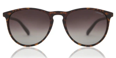 Polaroid Pld 6003/n/s Polarized V08/la Men's Sunglasses Tortoiseshell Size 54 In Brown