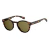 Polaroid Pld 6042/s 086 Sp Unisex Panthos Sunglasses In Brown