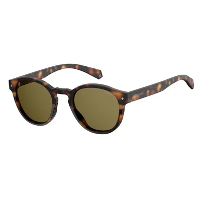 Polaroid Pld 6042/s 086 Sp Unisex Panthos Sunglasses In Brown
