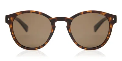 Polaroid Pld 6042/s Polarized 086/sp Men's Sunglasses Tortoiseshell Size 49 In Brown