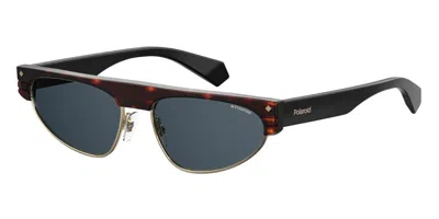 Polaroid Pld 6088/s/x Polarized 086/c3 Women's Sunglasses Tortoiseshell Size 56