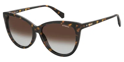 Polaroid Pld 6104/s/x Polarized 086/la Women's Sunglasses Tortoiseshell Size 56 In Dark Tortoise