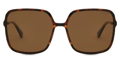 Polaroid Pld 6128/s Polarized 9n4/sp Women's Sunglasses Tortoiseshell Size 59 In Brown