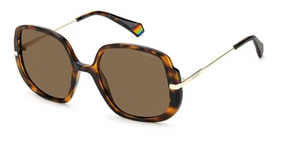Polaroid Pld 6181/s Polarized 086/sp Women's Sunglasses Tortoiseshell Size 53