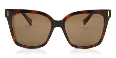Polaroid Pld 6192/s Polarized 086/sp Women's Sunglasses Tortoiseshell Size 54 In Burgundy