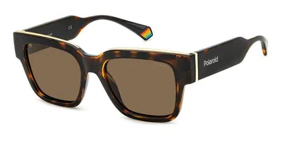 Polaroid Pld 6198/s/x 086/sp Men's Sunglasses Tortoiseshell Size 52 In Brown