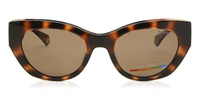 Polaroid Pld 6199/s/x Polarized 086/sp Women's Sunglasses Tortoiseshell Size 50 In Brown
