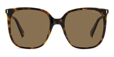 Polaroid Pld 6218/s Polarized 086/sp Women's Sunglasses Tortoiseshell Size 56 In Brown