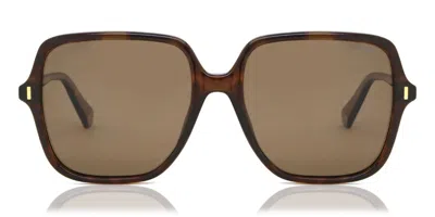 Polaroid Pld 6219/s Polarized 086/sp Women's Sunglasses Tortoiseshell Size 56 In Brown