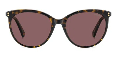 Polaroid Pld 6231/s Polarized 086/kl Women's Sunglasses Tortoiseshell Size 55 In Brown