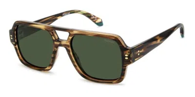 Polaroid Pld 6250/s/x Polarized 9n4/uc Occhiali Da Sole Tartarugatishell Per Uomo In Gold