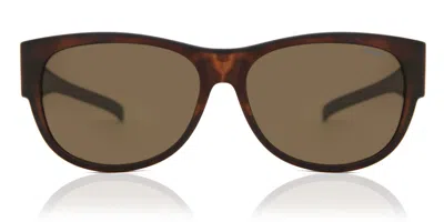 Polaroid Pld 9004/s Polarized Mqu/ig Men's Sunglasses Tortoiseshell Size 58 In Brown