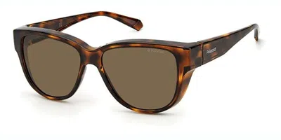 Polaroid Pld 9013/s 9n4/sp Occhiali Da Sole Tartarugatishell Per Donna In Brown