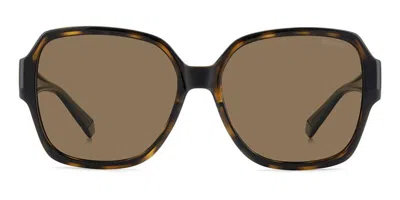 Polaroid Pld 9021/s Polarized 086/sp Men's Sunglasses Tortoiseshell Size 58 In Brown