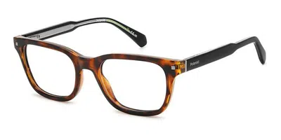 Polaroid Pld D472 Men's Glasses, Tortoiseshell, Size 52 In Brown