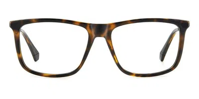 Polaroid Pld D497 Men's Glasses, Tortoiseshell, Size 55 In Brown