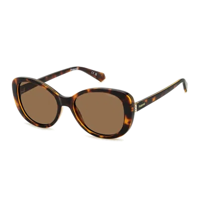 Polaroid Pld4154/s/x Sunglasses In Brown