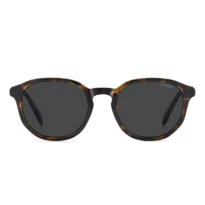 Polaroid Pld4195/s Sunglasses In Multi