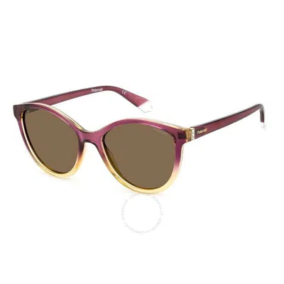 Polaroid Polarized Bronze Cat Eye Ladies Sunglasses Pld 4133/s/x 0s2n/sp 55 In Brown