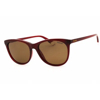 Polaroid Polarized Bronze Cat Eye Ladies Sunglasses Pld 4161/s 0lhf/sp 55 In Brown