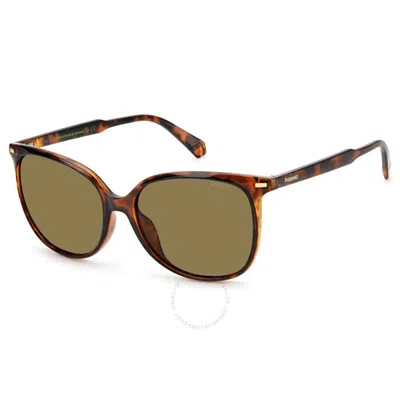 Polaroid Polarized Bronze Square Ladies Sunglasses Pld 4125/g/s 0086/sp 57 In Brown
