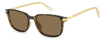 Polaroid Polarized Brown Square Men's Sunglasses Pld 4169/g/s/x 0086/sp 54 In Neutral