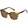Polaroid Polarized Copper Cat Eye Ladies Sunglasses Pld 4110/s/x 0086/he 51