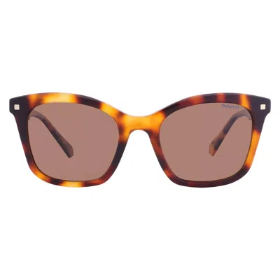Polaroid Polarized Copper Cat Eye Ladies Sunglasses Pld 4110/s/x 0086/he 51 In Multi