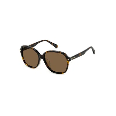Polaroid Pld 4112/f/s/x 086(sp) In Brown