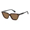 Polaroid 53mm Polarized Rectangular Sunglasses In Havana/bronze Polarized