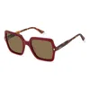 Polaroid Pld 4165/s/x Lhf(sp) In Brown