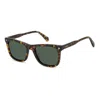 Polaroid Pld 4167/s/x 086(uc) In Brown