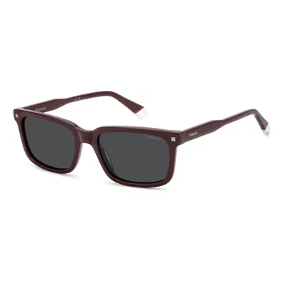 Polaroid Pld 4174/s/x Lhf(m9) In Brown