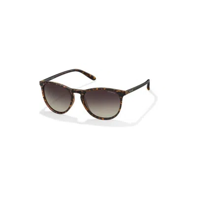 Polaroid Pld 6003/n/s V08(la) In Brown